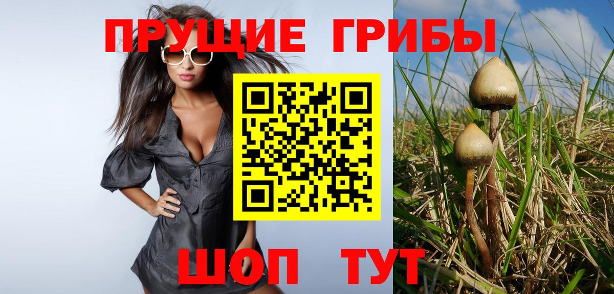 Галлюциногенные грибы ЛСД Коммунар