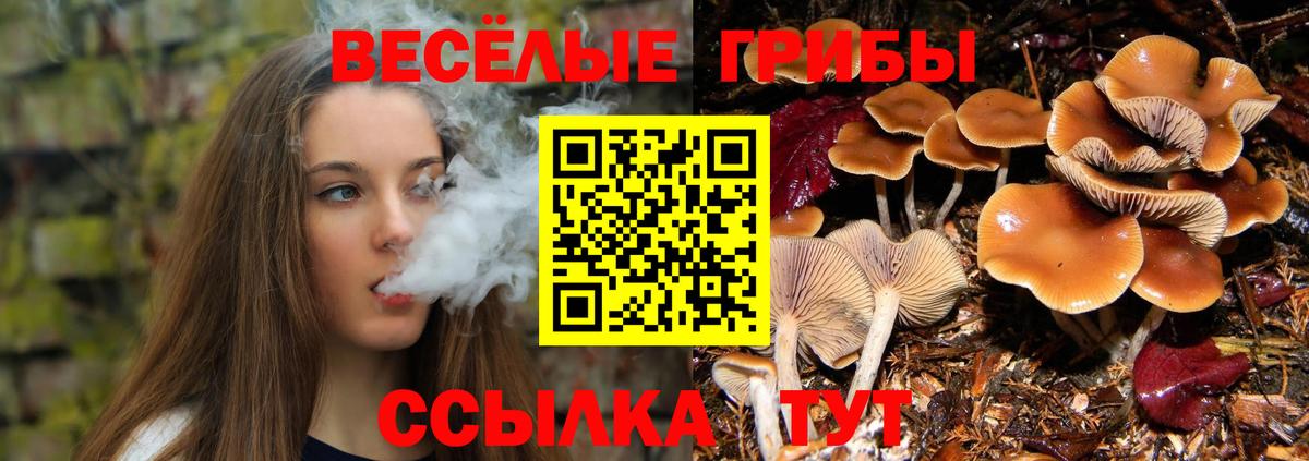 где можно купить наркотик  Псилоцибиновые грибы ЛСД  Вход с VPN  Галлюциногенные грибы Psilocybine cubensis  Коммунар 